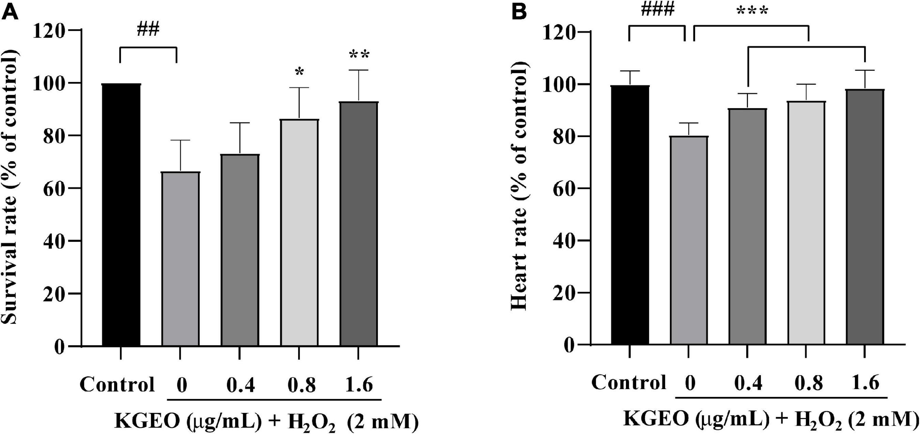 Chemical composition of the Kaempferia galanga L. essential oil and its in vitro and in vivo antioxidant activities